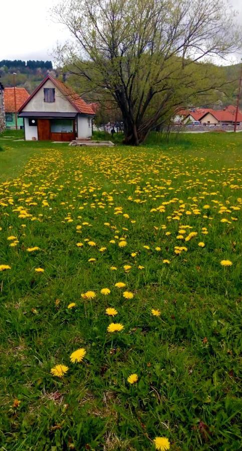 Apartment Enjoy Kolašin Esterno foto